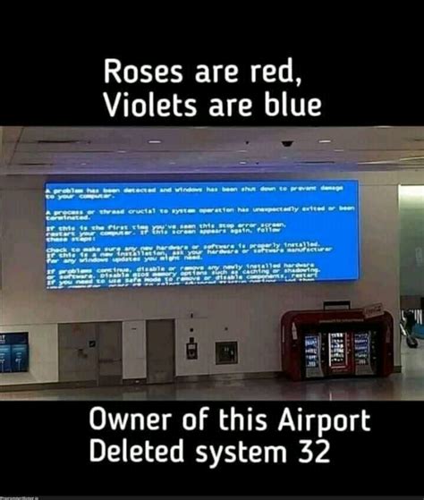 Blue screen – ProgrammerHumor.io