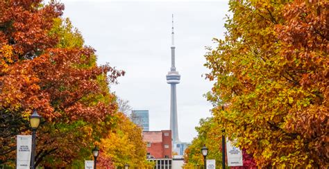 The five best places to see fall foliage in Toronto | Curated