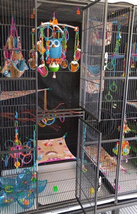 Tips for SUPER FUN cages! | Sugar glider toys, Sugar glider cage, Sugar glider