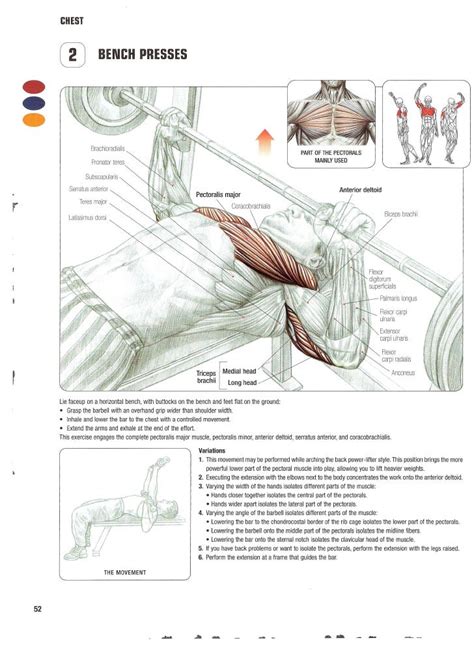 Strength Training Anatomy 2nd Edition