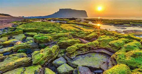 Here's why Jeju Island, South Korea’s Hawaii, is known as ‘Island of the Gods’ | Travel ...