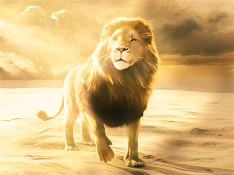 Lion Aslan Narnia By BraScIBr On DeviantArt Desktop Background