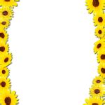 Sunflower Border Frame Png Transparent Background