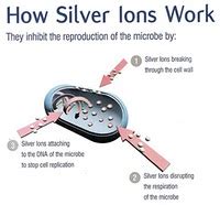 Experts: It’s the Silver Ion That Gives Colloidal Silver Its ...