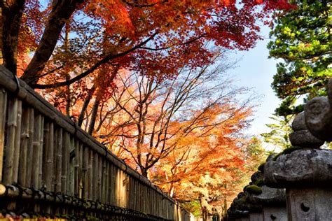 Mount Koya: A Visitor's Guide to Japan's Most Sacred Site | Japan Cheapo