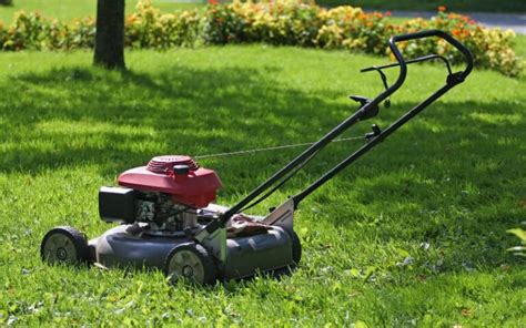 Used Lawn Mowers for Sale Near Me: Where to Find Them?