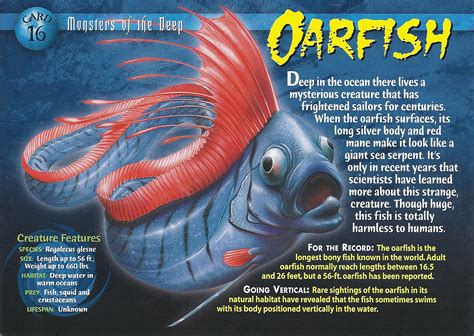 Oarfish | Weird n' Wild Creatures Wiki | Fandom