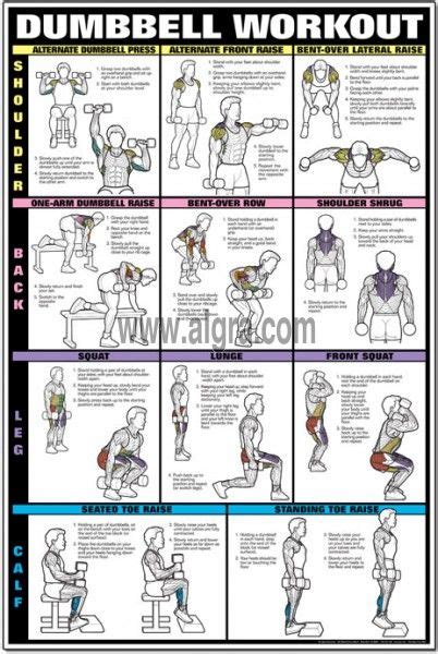 Dumbbell Shoulder, Back & Leg Workout Poster | by Bruce Algra | Dumbell workout, Workout posters ...