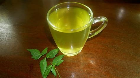 Neem Tea Recipe | Homemade Neem Leaves Tea Benefits | Healthy Neem Tea Recipe/ Immunity Booster ...