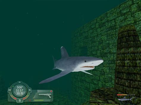 Shark! Hunting the Great White Screenshots for Windows - MobyGames