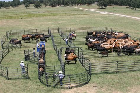 Priefert Manufacturing | Premier Corral System | Cattle farming, Cattle ranching, Cattle barn