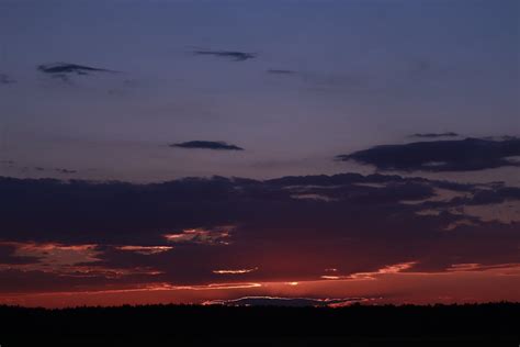 Silhouette of Trees and Mountains During Sunset · Free Stock Photo