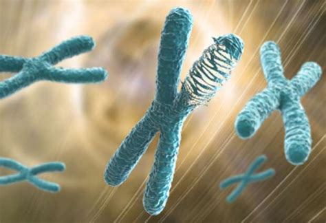 'Chromosome shattering': Understanding chromothripsis in human cancer