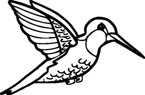 Hummingbird Coloring Pages Printable at GetColorings.com | Free printable colorings pages to ...