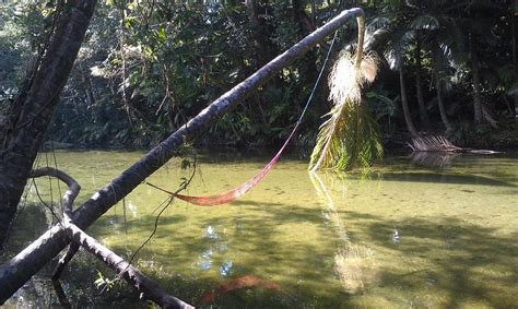 Mossman River - Swim Map