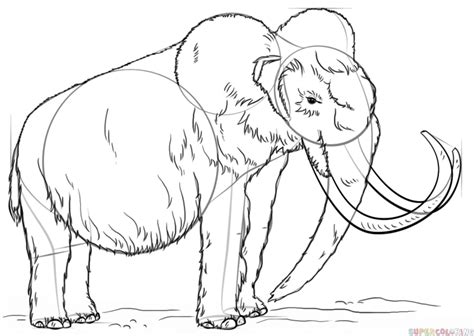 How to draw a woolly mammoth | Step by step Drawing tutorials