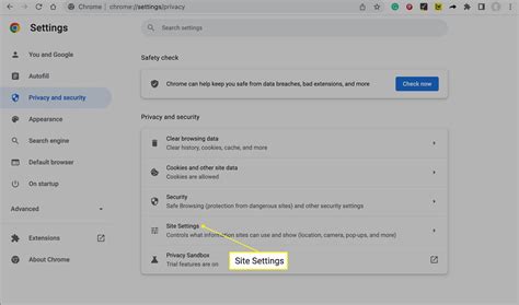 How to Give Chrome Access to Your Camera and Mic