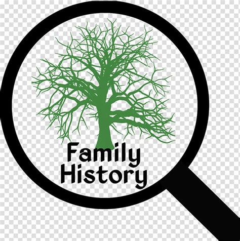 Genealogy Family tree Ancestor History, family tree transparent background PNG clipart | HiClipart