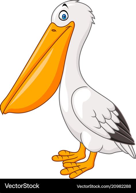 Cartoon pelican isolated on white background Vector Image