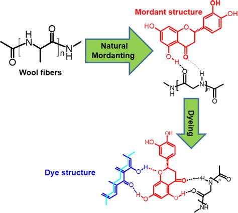 Wool/mordant/dye relation in dyeing process | Download Scientific Diagram