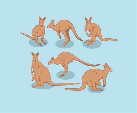 Kangaroo Illustration Vector Vector Art & Graphics | freevector.com