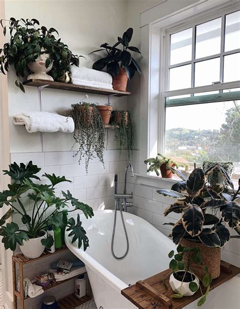 17 Bathroom Plants That Were Styled Perfectly