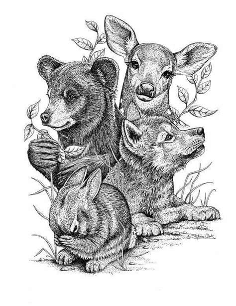 Cute Forest Animals Drawing - Animals World