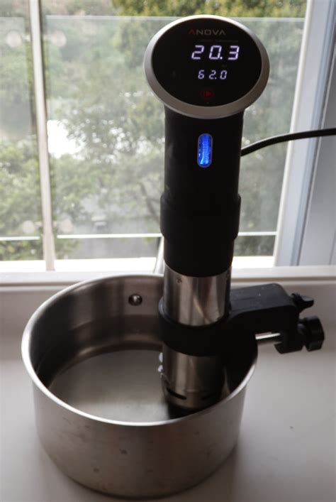 鄭立勳 。 活在當下 。 Mandy Cheng: Low temperature cooking - Anova Precision Cooker