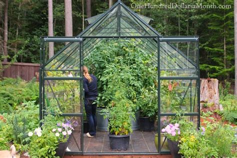 Greenhouse Vegetable Gardening -Tomatoes, Cucumbers, Peppers, Strawberries and Lemons - One ...