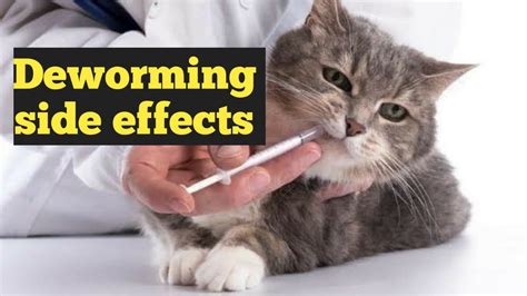 When Cat Deworming is can be harmful | Cat Deworming side effects - YouTube