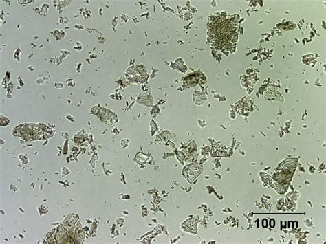 Calcium sulfate - CAMEO