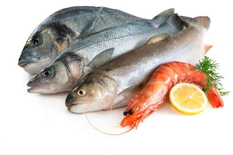 Frozen seafood products manufacturer | Monsoon Bounty - Tamil Crew