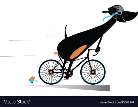 Cartoon dog rides a bike isolated Royalty Free Vector Image