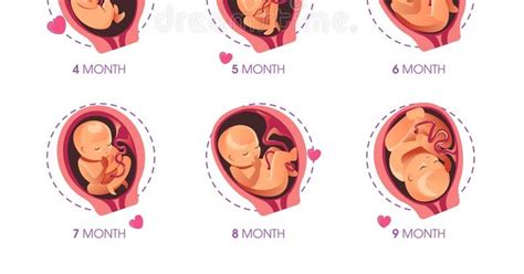 Baby Growth Stages After Birth