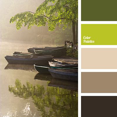 dark green and dark brown | Color Palette Ideas