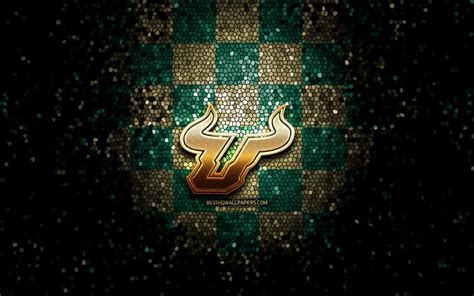 Usf Athletics Logo