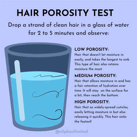 How To Determine Your Hair Porosity | Cliphair UK