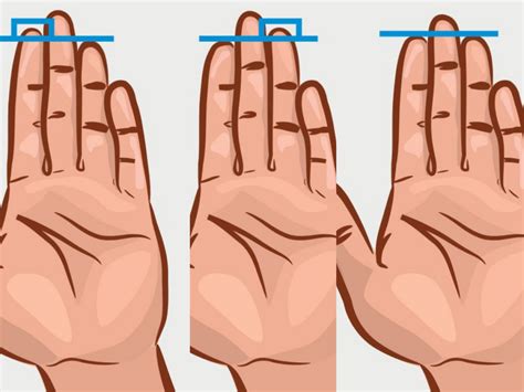 Secret Things Your Finger Length Could Say About Your Personality ...