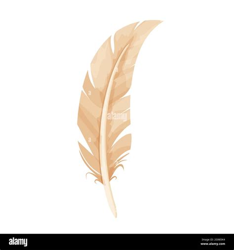 Bird feather, ancient quill in cartoon style isolated on white background. Writing tool ...