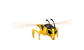 Animated Bee And Wasp Gifs at Best Animations