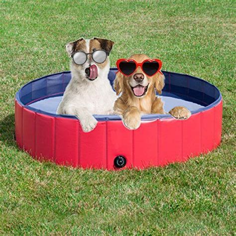 This Dog Pool gives your Dog the Chance to cool down, swim and enjoy ...