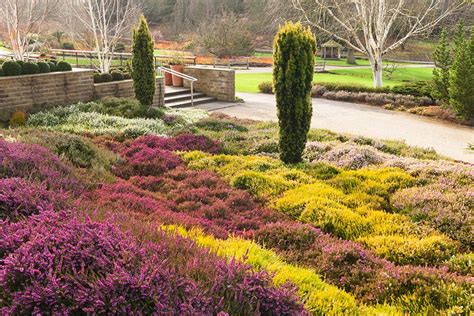 Rhs Rosemoor Gardens Map | Fasci Garden