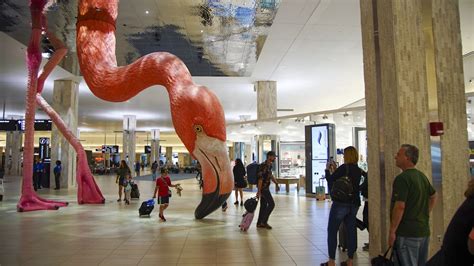 Tampa International Airport’s famed flamingo finally has a name