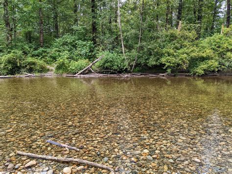 7 Kid-Friendly Parks In Coquitlam - In Love With BC