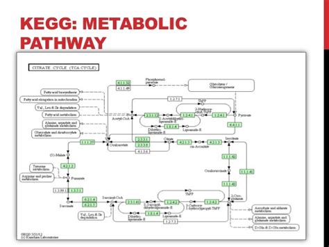 Kegg database resources