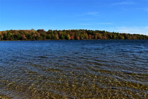 How to Find Fall Foliage in the Poconos – Dang Travelers