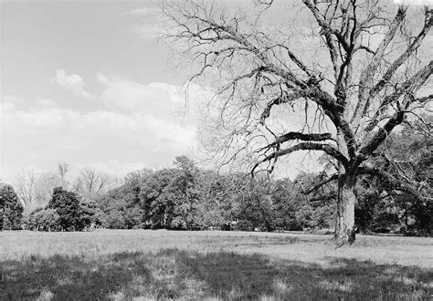 Pictures 2 Magnolia Plantation, Natchitoches Louisiana