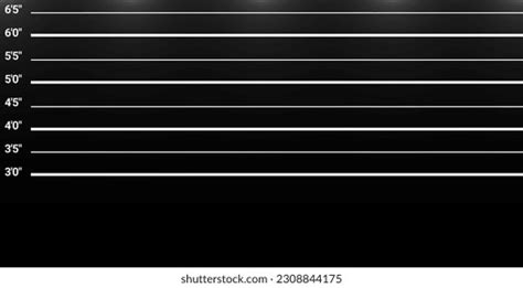 Mugshot Crime Photo Background Black White Stock Vector (Royalty Free) 2308844175 | Shutterstock