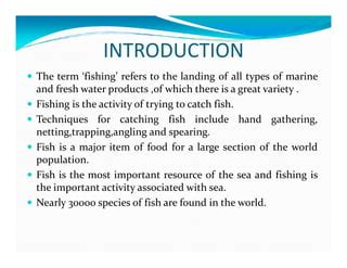 Fishing | PPT | Free Download