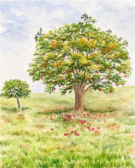 Items similar to Apple Tree Watercolor Print Apple Tree Painting Apple ...